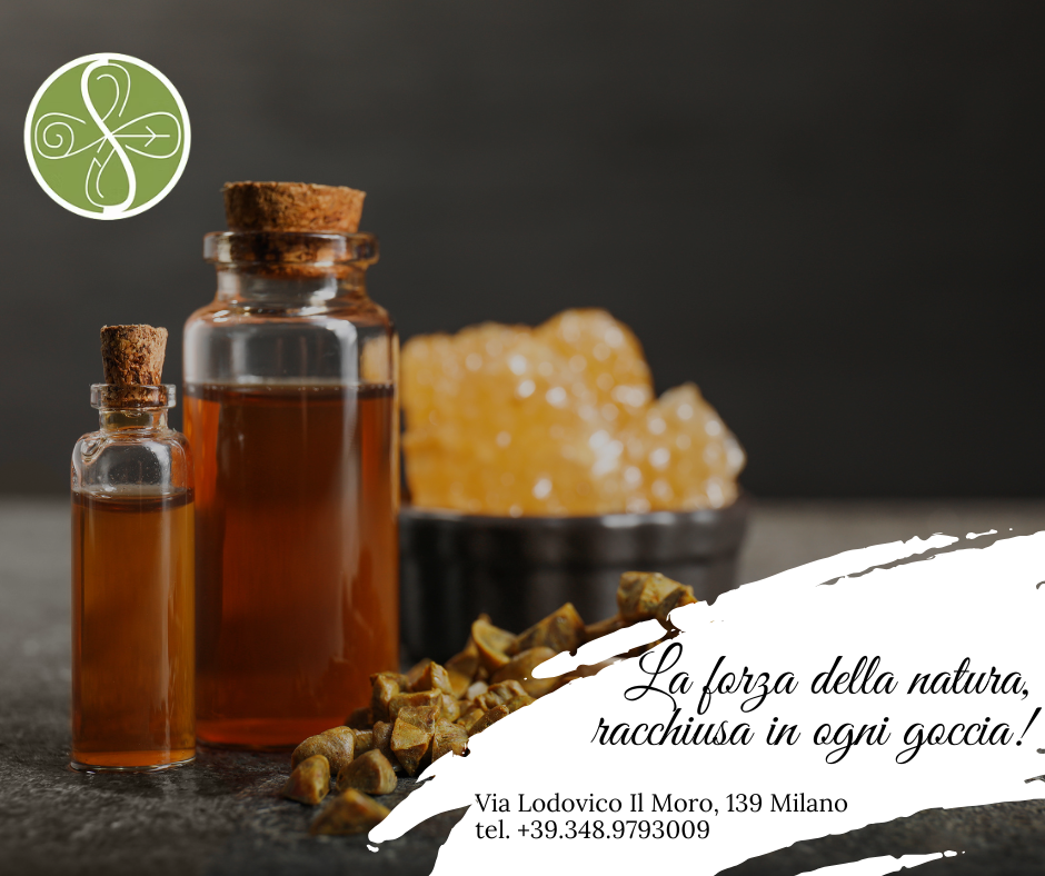 Propoli in Tintura Madre: Proprietà ed Evidenze Scientifiche Propoli in Tintura Madre: Proprietà ed Evidenze Scientifiche